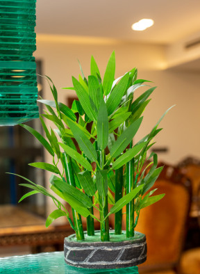 Showpiece - FD BAMBOO