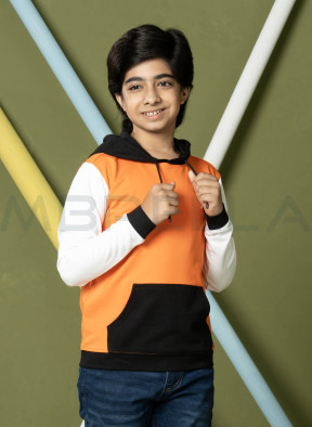 Boys Hoodie (3-8 Years )