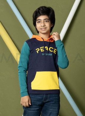 Boys Hoodie (3-8 Years )